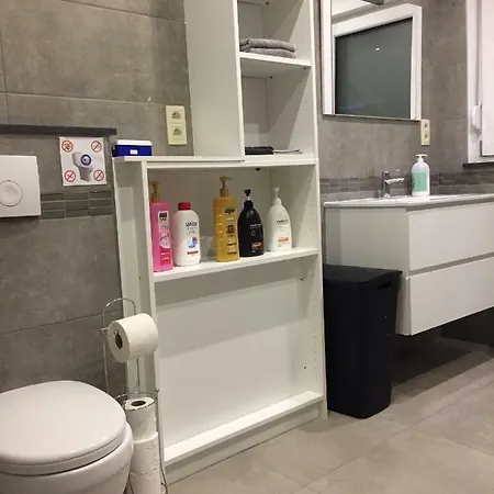 דירה Rentalis Flat *