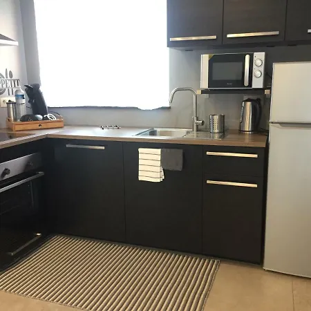Rentalis Flat * לייז'