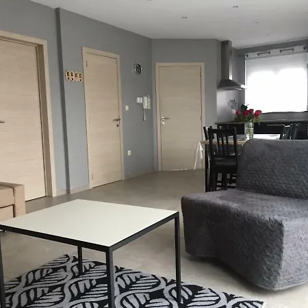 Rentalis Flat * לייז'
